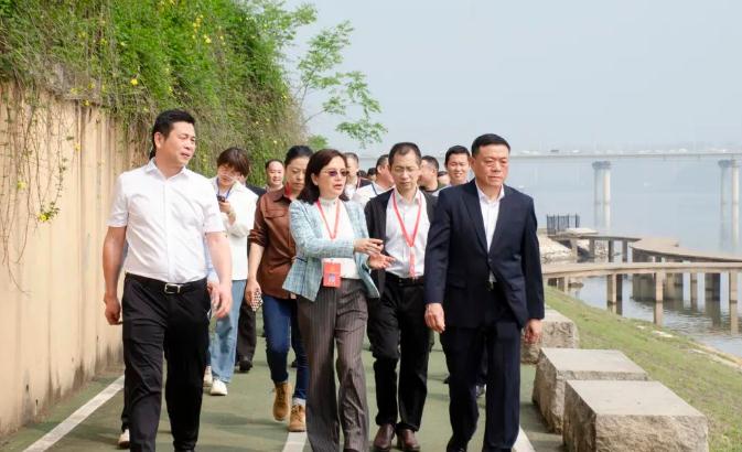 区人大常委会观察全区防汛应急使命