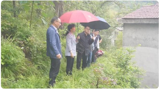 王海霞夸大|抓细抓实防汛备汛任务,确保国民大众性命财产宁静