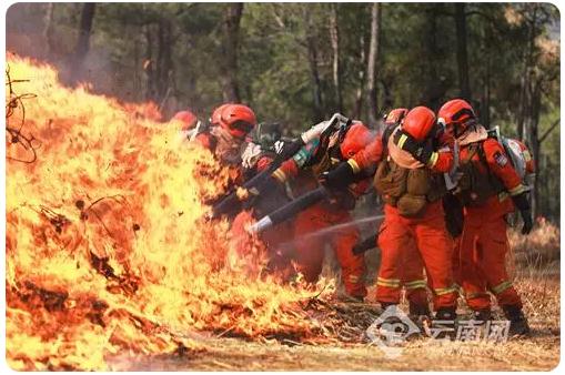 掩护丛林资本宁静,修建生态丽江