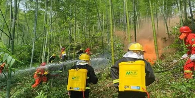 桃江县松木塘镇展开丛林火警扑救应急练习训练